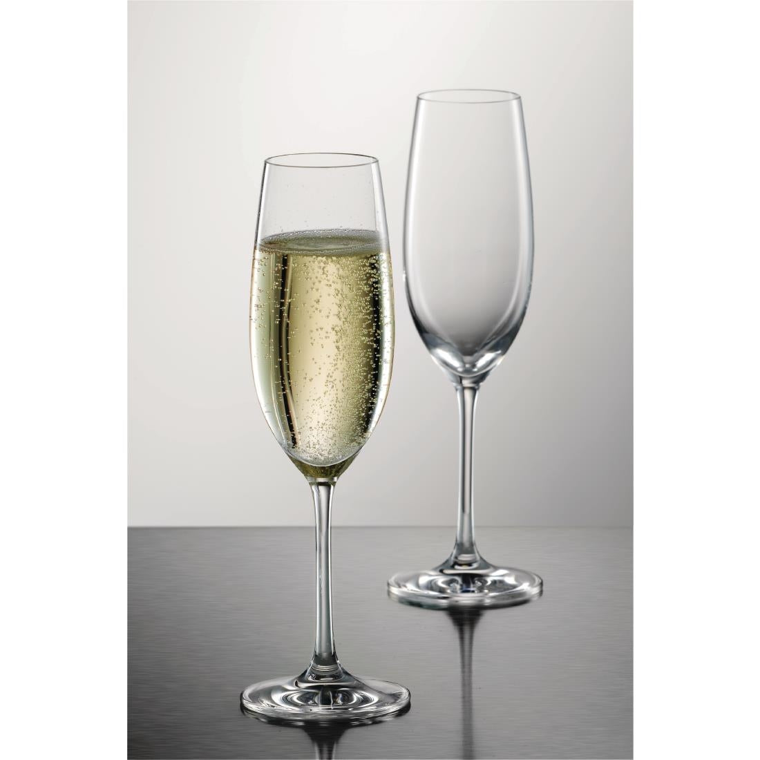 GL137 Schott Zwiesel Ivento Champagne flute 230ml (Pack of 6)