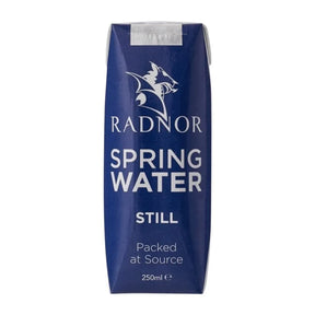 HP975 Radnor Still Spring Water Tetra Pak 250ml (Pack of 24) - JD Catering Equipment Solutions Ltd