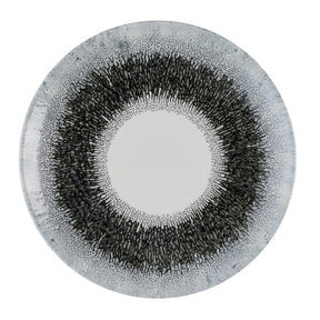 HR302 Churchill Studio Prints Fusion Black Evolve Coupe Plates 220mm (Pack of 12) - JD Catering Equipment Solutions Ltd