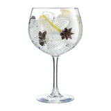 HR927 Arc Vina Gin & Cocktail Glasses 700ml (Pack of 12)
