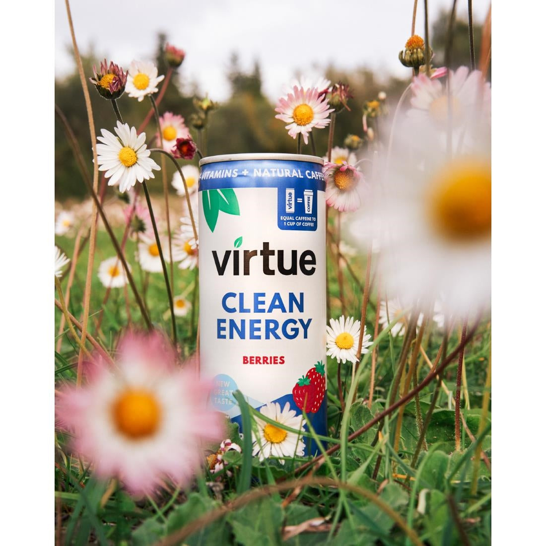 HS862 Virtue Clean Energy Berries Drink 250ml (Pack of 12)