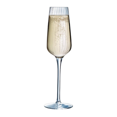 HW250 Chef and Sommelier Symetrie Champagne Flutes 210ml (Pack of 24)