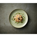 HX039 Churchill Stonecast Raw Green Evolve Coupe Plates 260mm (Pack of 12)