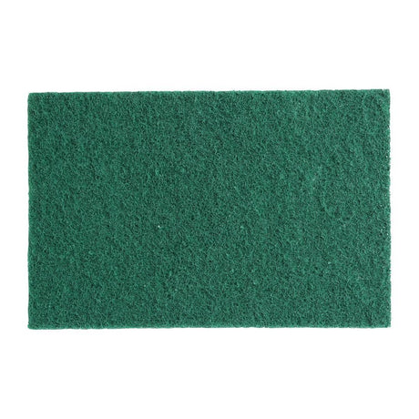 HX234 Jantex Small Scouring Pads - Green (Pack of 10)
