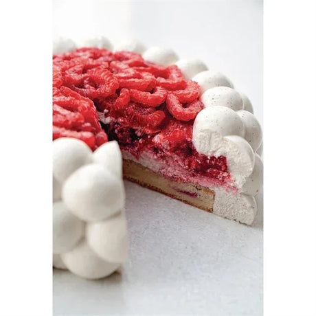 HX518 Pavoni Silicone Nuage Mould By Cedric Grolet 180x65mm