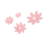 HZ048 - PME Floral Daisy Plunger Cutter Marguerite (Pack 4)