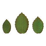 HZ049 - PME Foliage Veined Rose Leaf Plunger Cutter (Pack 3)