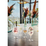 HZ425 Chef & Sommelier Evidence Wine Glasses 350ml (Pack of 24)