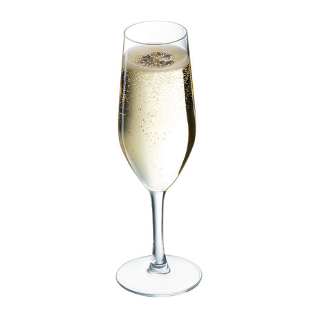 HZ427 Chef & Sommelier Evidence Flute Glasses 160ml (Pack of 24)