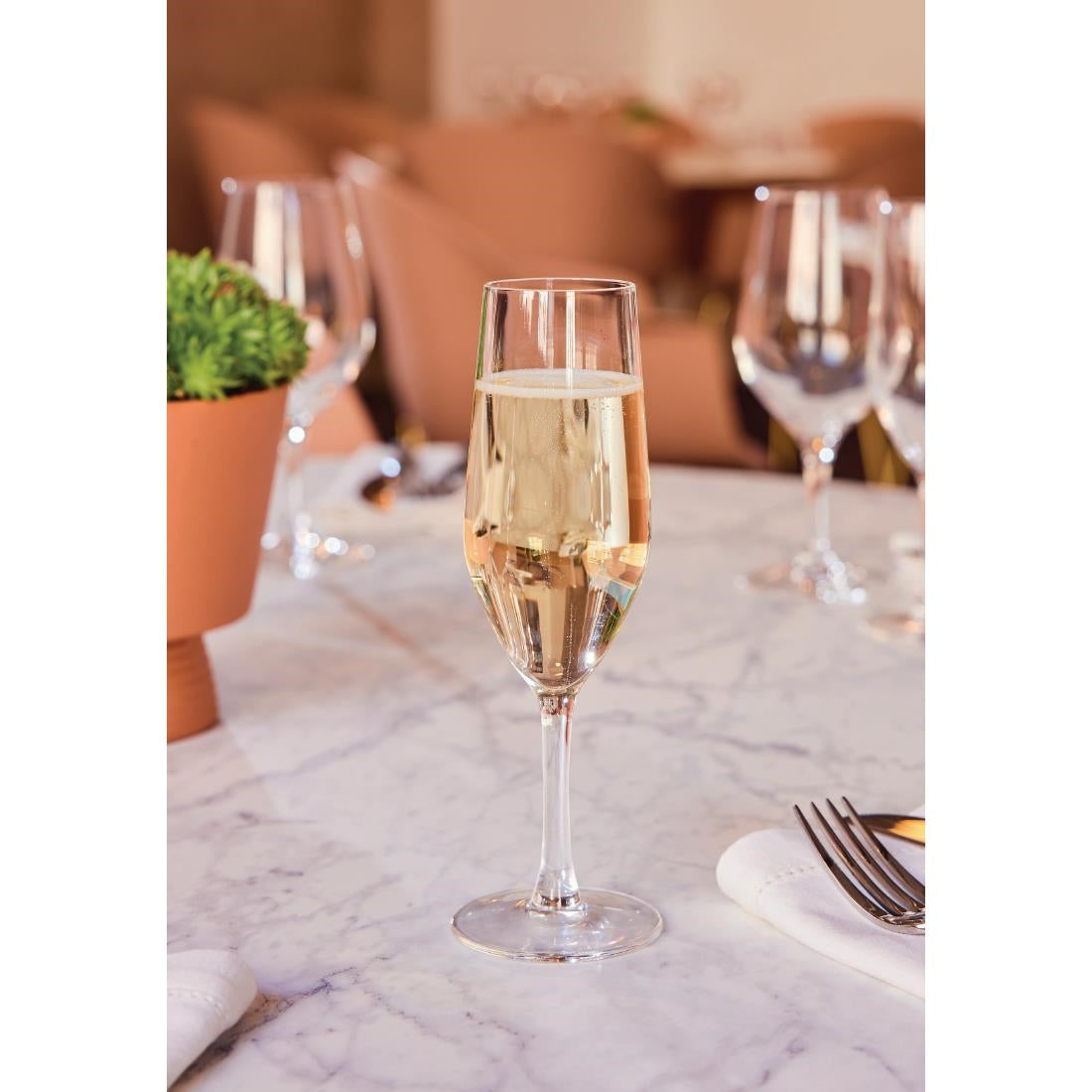 HZ427 Chef & Sommelier Evidence Flute Glasses 160ml (Pack of 24)