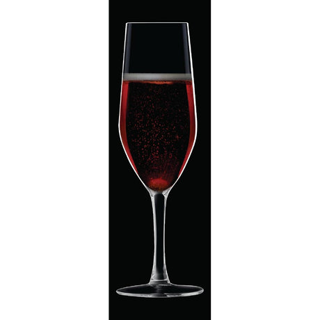 HZ427 Chef & Sommelier Evidence Flute Glasses 160ml (Pack of 24)