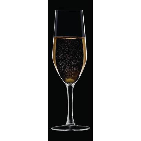 HZ427 Chef & Sommelier Evidence Flute Glasses 160ml (Pack of 24)