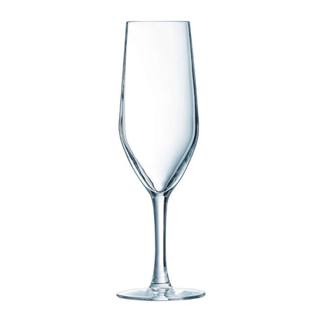 HZ427 Chef & Sommelier Evidence Flute Glasses 160ml (Pack of 24)