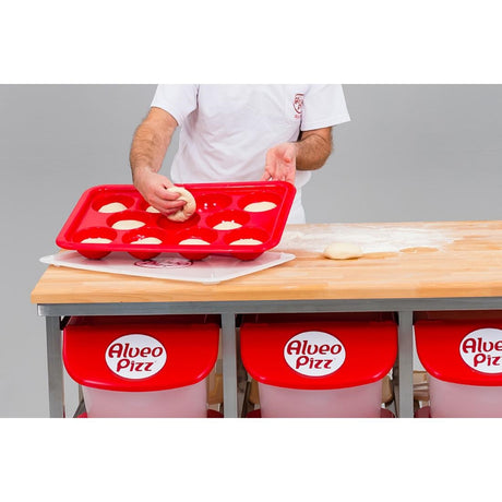 HZ543 - Scaritech Alveopizz Red Tray