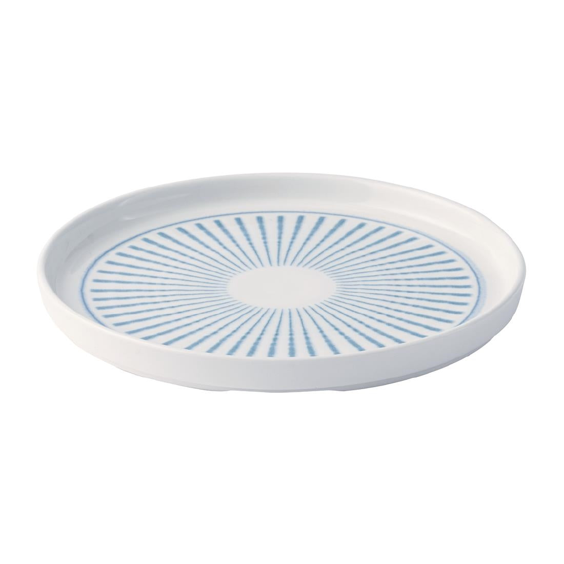 JA051 - Churchill Era Blue Walled Plates 210mm (6 Pack)