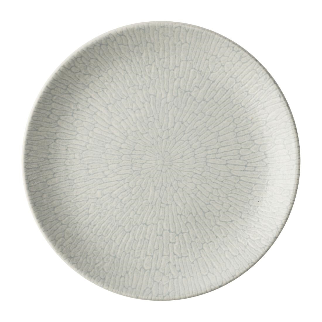JA078 - Churchill Delta Grey Evolve Plates 217mm (12 Pack)