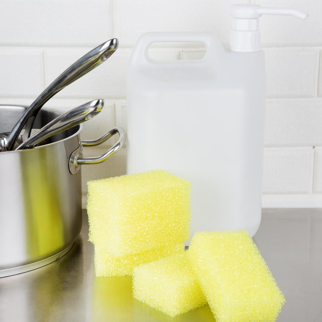 Jantex Dual Sponge Scourers (10 Pack)