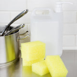 Jantex Dual Sponge Scourers (10 Pack)