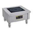 Roller Grill Single Zone Induction Stock Pot Stove