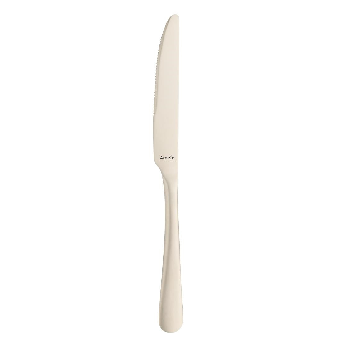 Amefa Austin Dessert Knives Champagne PVD (Pack 12)