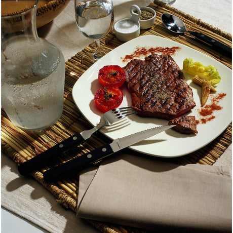 Amefa 2 Rivet Steak Knives Black (12 Pack)