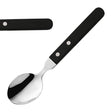 Amefa 2 Rivet Spoons Black (12 Pack)