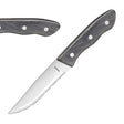 Amefa Hercule Jumbo Steak Knife (6 Pack)