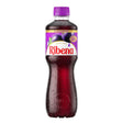 Ribena Bottles 500ml (24 Pack)
