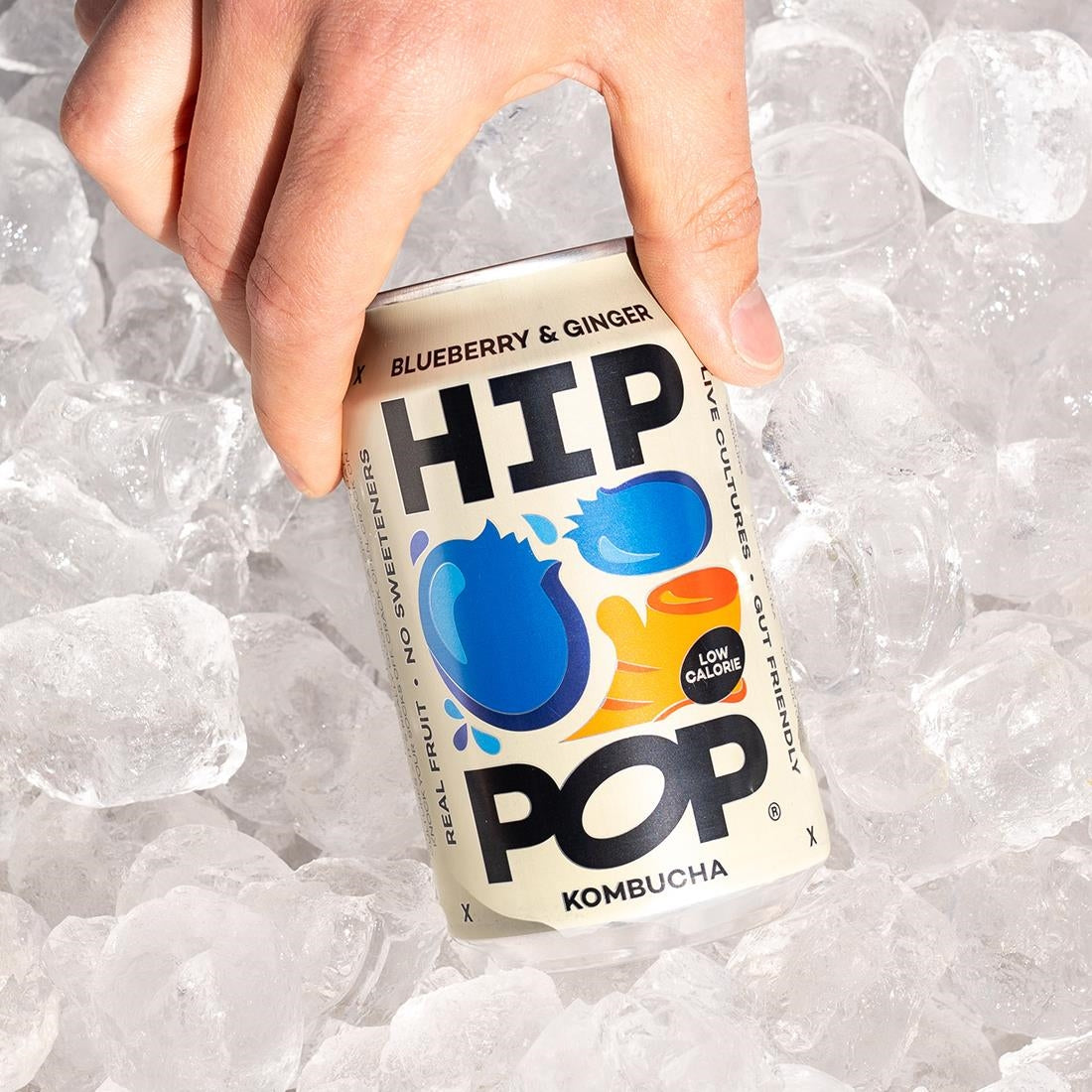 Hip Pop Kombucha Blueberry & Ginger 330ml (12 Pack)