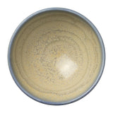 VV2463 Steelite Aurora Revolution Bluestone Tulip Bowls 102mm (Pack of 12)