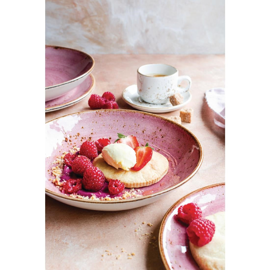 VV2588 Steelite Craft Raspberry Bowls Coupe 255mm (Pack of 12)