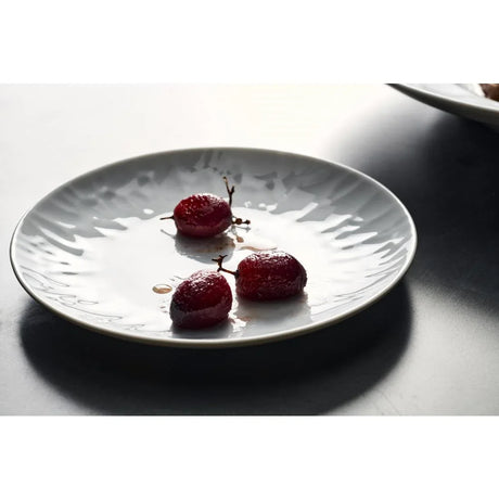VV3739 Steelite Atelier Coupe Plates 270mm (Pack of 12) - JD Catering Equipment Solutions Ltd