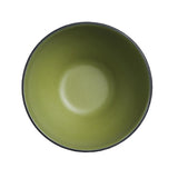 VV4157 Steelite Baja Cactus Round Bowls 108mm(Pack of 24)