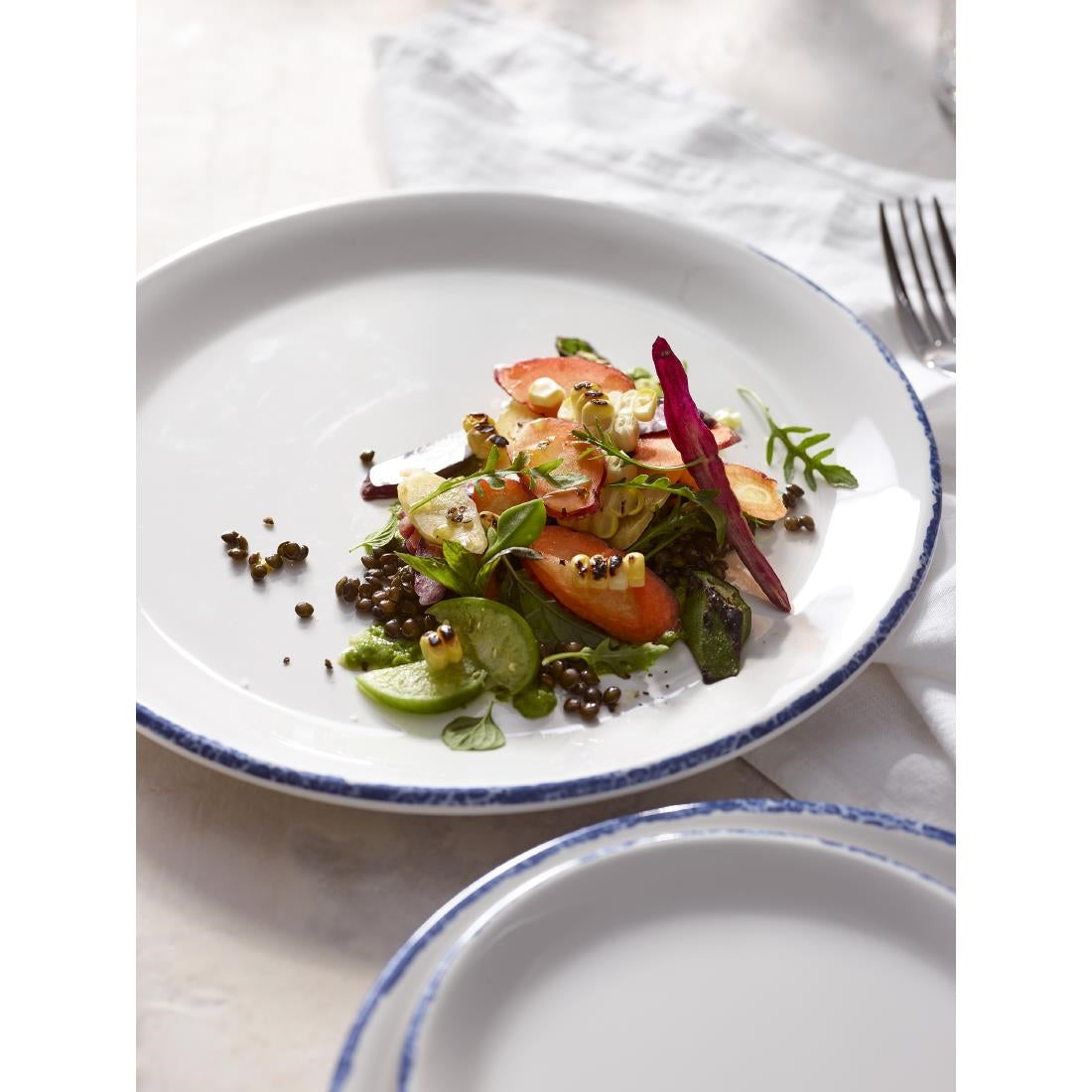 VV4406 Steelite Blue Dapple Rectangle Trays 305 x 191mm (Pack of 12)