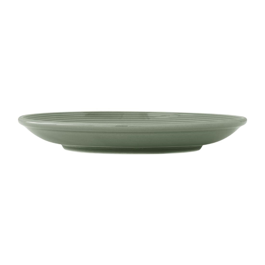VV4708 Concorde Fern Saucer - 152.5cm (Pack 12) – supplier image 2