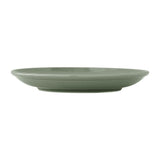 VV4708 Concorde Fern Saucer - 152.5cm (Pack 12) – supplier image 2