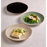 Steelite Orbita Coupe Plates Fuse Sable 285mm (12 Pack)