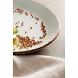VV755 Steelite Brown Dapple Coupe Plates 203mm (Pack of 24)