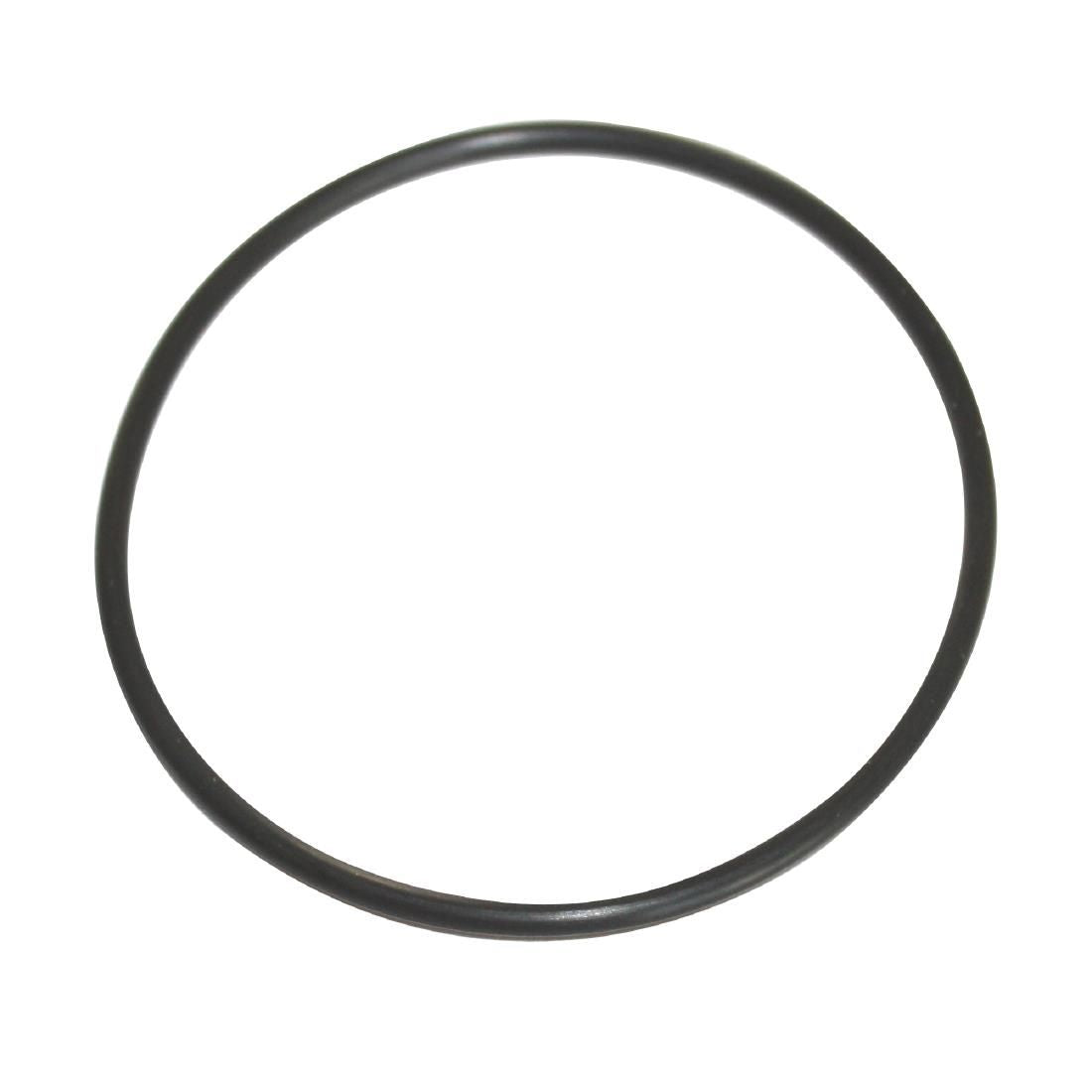 N173 O ring seal (62 x 2.5)