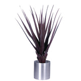 CC503 Pandanus Red 900mm