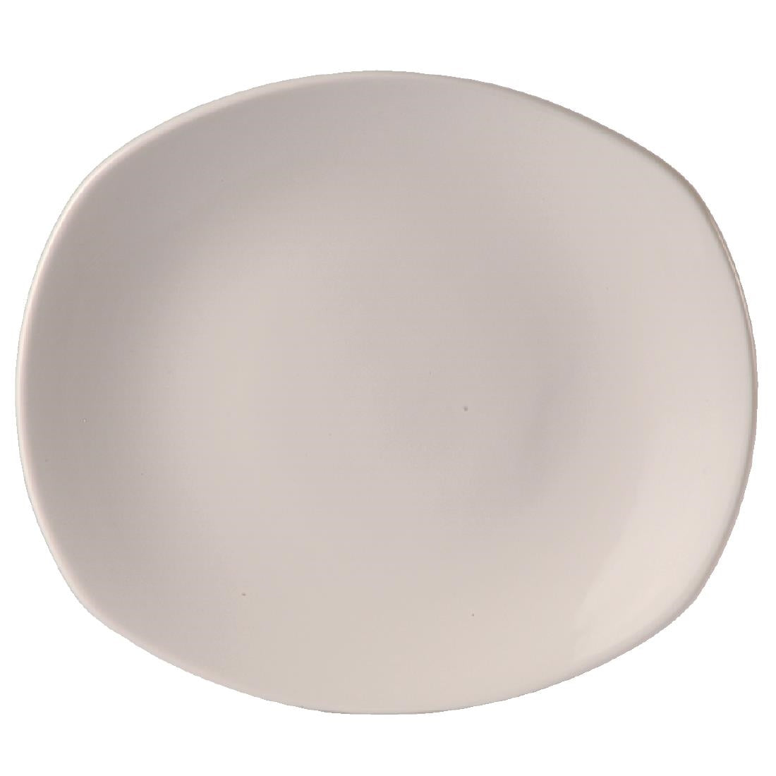 V9473 Steelite Taste Spice Plates 255mm (Pack of 24)