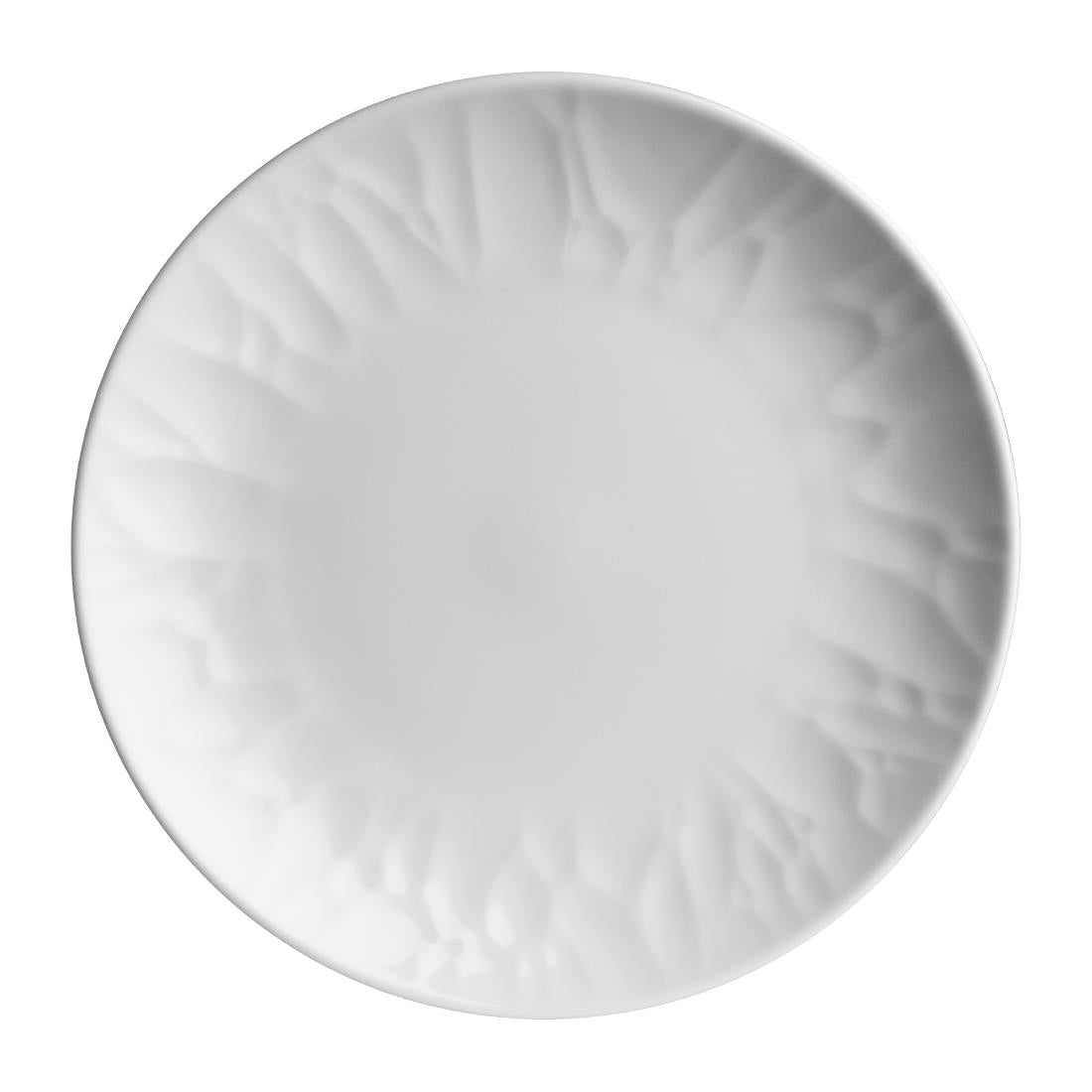 VV3734 Steelite Atelier Signature Coupe Plates 279mm (Pack of 12)